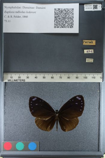 Media type: image;   Entomology 160108
